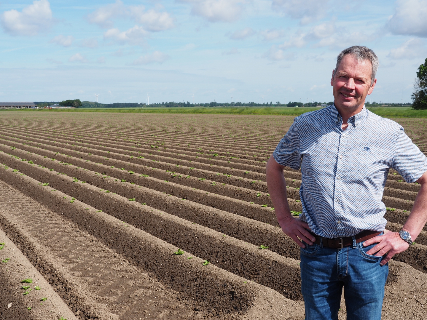 De akkerbouwer staat met de handen in de zij bij zijn perceel met verse aardappelruggen