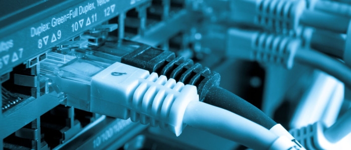 Netwerkkabels in een switch (illustratief bij de ICT-vacature)