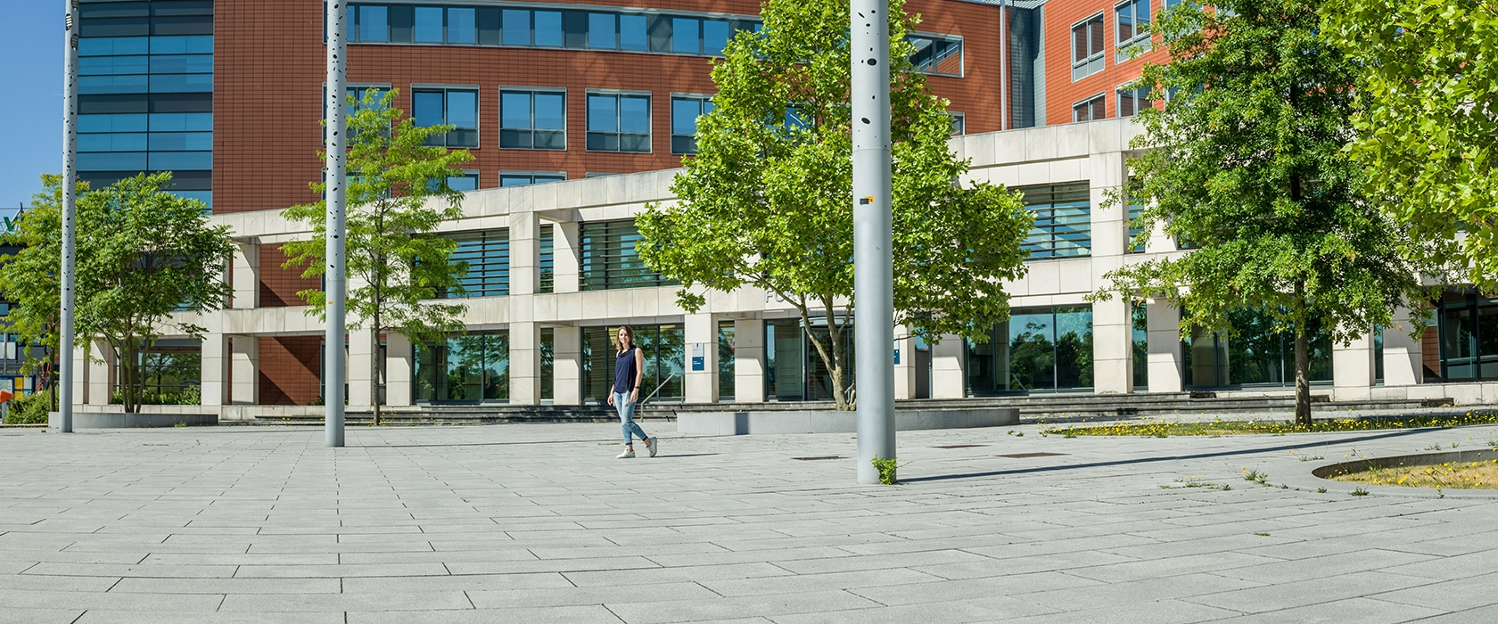 Kantoorgebouw met bomen op een strak bestraat plein