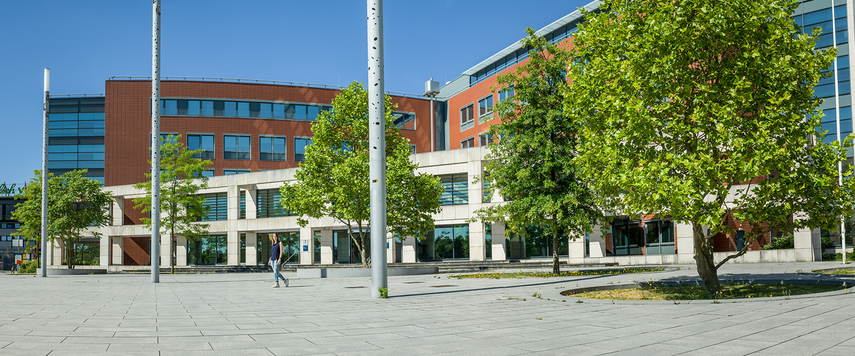 Kantoorgebouw met jonge bomen op een bestraat plein