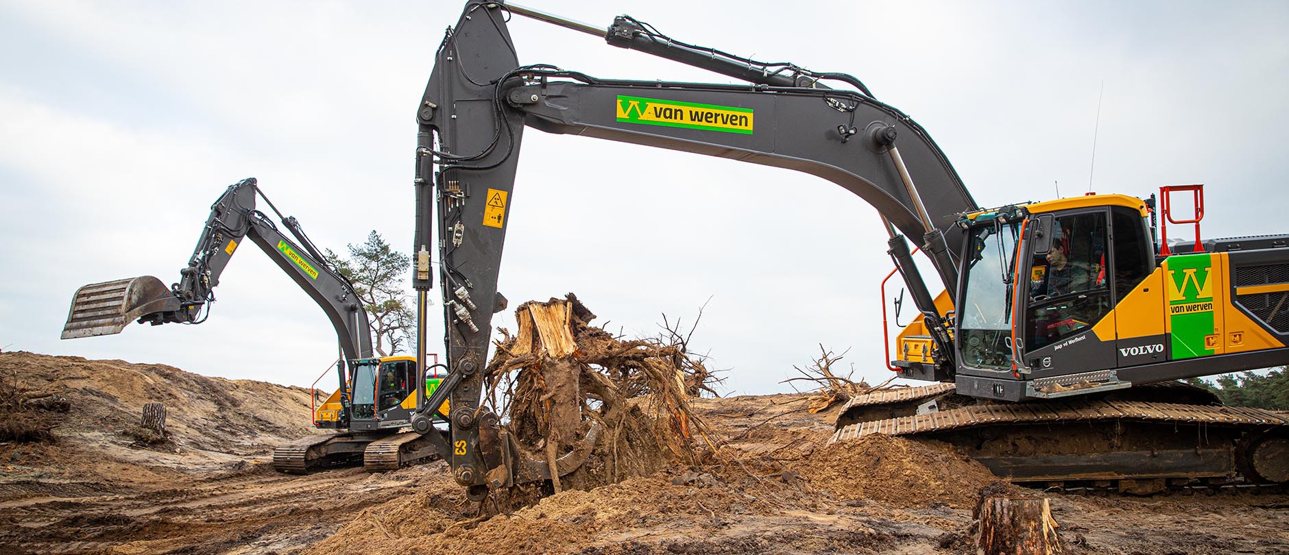 Twee Volvo-rupskranen van Van Werven trekken boomstronken uit het zand van de verstuiving